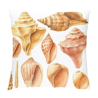 Personality  Watercolor Sea Shells On An Isolated White Background Pillow Covers
