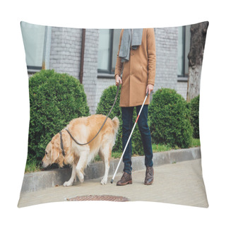 Personality  Cropped View Of Man With Walking Stick And Guide Dog Walking On Street Pillow Covers