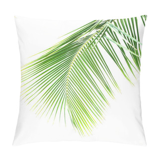 Personality  Coconut Leaves On White Background Pillow Covers