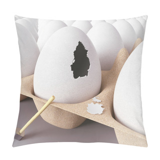 Personality  Escape From The Egg Pillow Covers