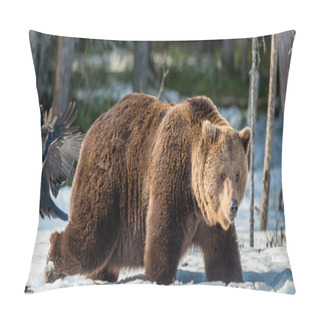 Personality  Adult Male Brown Bear Pillow Covers