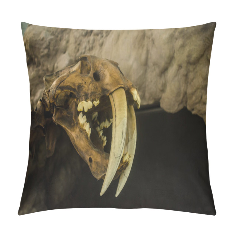 Personality  Extinct smilodon tiger in a museum pillow covers