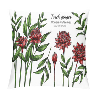Personality  Set Of Red Torch Ginger Flower And Leaf Drawing Illustration With Line Art On White Backgrounds Pillow Covers