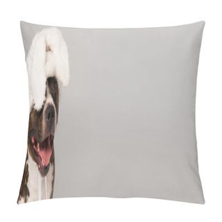Personality  Purebred Staffordshire Bull Terrier In White Headband With Bunny Ears Isolated On Grey, Banner Pillow Covers