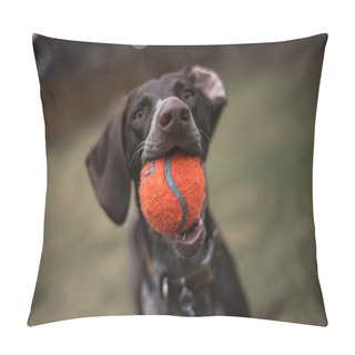 Personality  German Short-haired Pointer Playing Pillow Covers