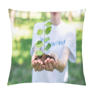 Personality  Cropped View Of Volunteer Holding Ground With Seedling In Hands Pillow Covers