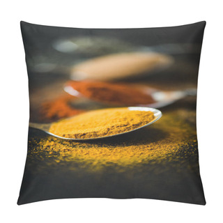 Personality  Spices And Herbs In Metal Spoon Pillow Covers