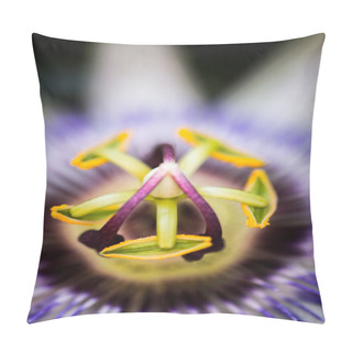 Personality  Passion Fruit Flower Pillow Covers