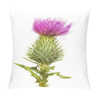 Personality  Spear Thistle Closeup Pillow Covers