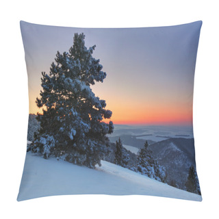 Personality  Winter Frost In The Wild Forest. Deep Wilderness Nature Pillow Covers