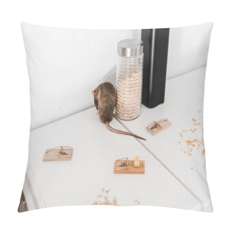 Personality  selective focus of small rat near glass jar with barley and mousetraps  pillow covers