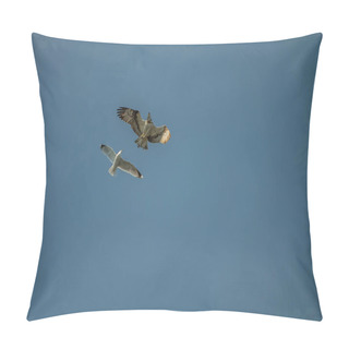 Personality  Beautiful Day In A Boat At Five Sea, Flying Osprey Pillow Covers