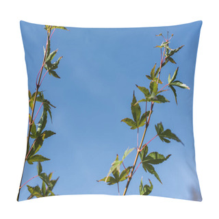 Personality  Maple Branches With Green Leaves With Blue Sky At Background Pillow Covers