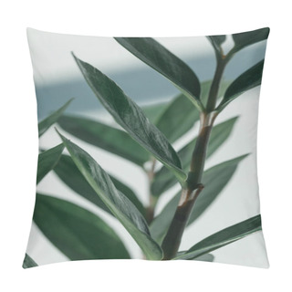 Personality  Green Potted Plant At Room Pillow Covers