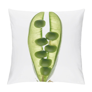 Personality  Peas Pillow Covers