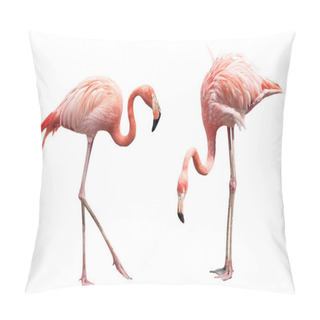 Personality  Two Flamingo Pillow Covers