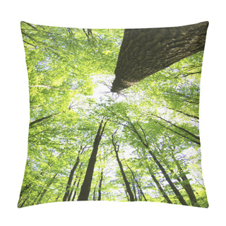 Personality  Green Forest Pillow Covers