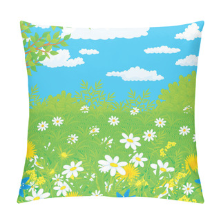 Personality  Summer Field With Wild Flowers, Against A Blue Sky With White Clouds Pillow Covers