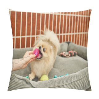 Personality  Partial View Of Tattooed Female Pet Sitter Playing With Pomeranian Spitz In Dog Hotel, Interaction Pillow Covers