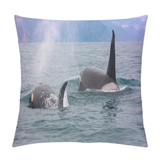 Personality  Selective Focus.. The Pair Of Transient Killer Whales Travel Thr Pillow Covers