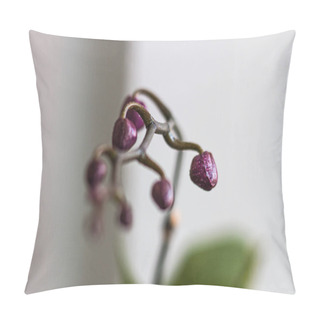 Personality  Risen Delicate Flower Purple Phalaenopsis Orchids And Unopened Buds. Pillow Covers