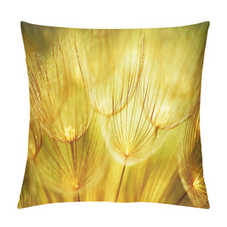 Personality  Soft Dandelion Flowers Pillow Covers