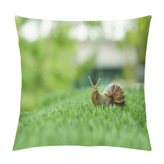 Personality  The Journey Of Snail. Pillow Covers