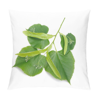 Personality  Linden Branch Isolated Pillow Covers