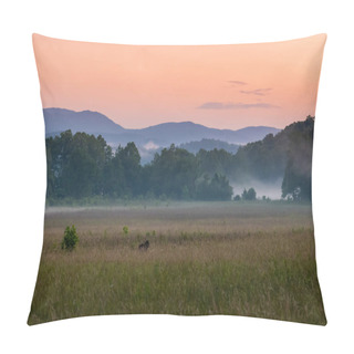 Personality  Bear Frolics In Field Of Cades Cove At Sunset Pillow Covers