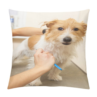 Personality  Jack Russell Terrier Getting His Hair Cut Pillow Covers