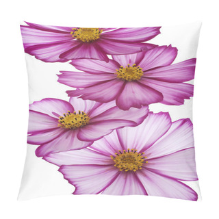 Personality  Cosmos Flower Pillow Covers