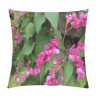 Personality  Bee And Pink Bunch,Antigonon Leptopus Hook,Coral Vine, Mexican Creeper, Chain Of Love, Pink Vine, Honolulu Creeper Pillow Covers
