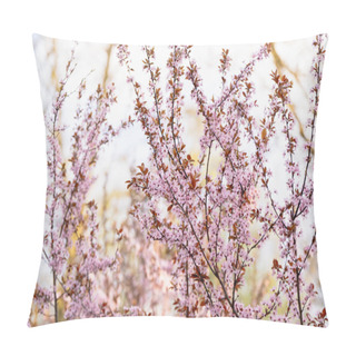 Personality  Blooming Pink Apricot Tree In The Park. Beautiful Wallpaper For Design. Nature. Selective Focus Pillow Covers