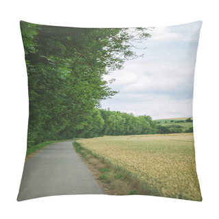 Personality  Road Between Beautiful Forest And Field In Wurzburg, Germany Pillow Covers