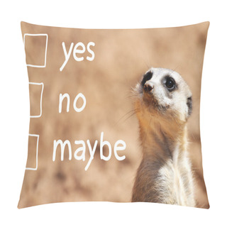Personality  African Suricate Making Decision Pillow Covers
