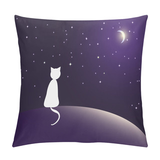 Personality  Lonely Cat Watching Stars Pillow Covers