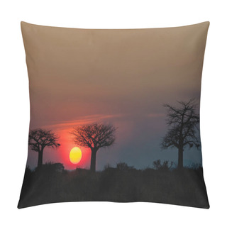Personality  Landscape Of Ruaha National Park Pillow Covers