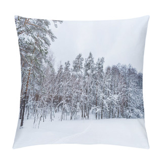 Personality  Scenic View Of Snow Covered Trees In Winter Forest Pillow Covers