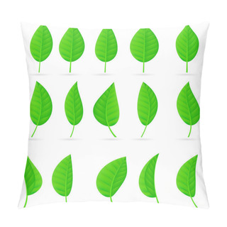 Personality  Various Types And Shapes Of Green Leaves Pillow Covers