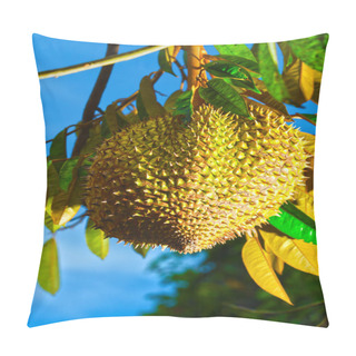 Personality  Durian Pillow Covers