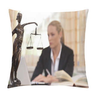 Personality  Lawyer In The Office Pillow Covers