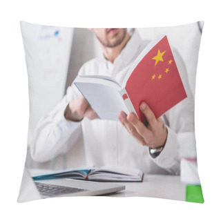 Personality  Selective Focus Of Chinese Dictionary In Hand Of Translator, Cropped View Pillow Covers