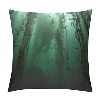 Personality  A Forest Of Giant Kelp, Macrocystis Pyrifera, Grows Along The Coast Of California. This Is A Species Of Marine Algae That Can Grow Quickly And Form Ecologically Important Underwater Habitats. Pillow Covers