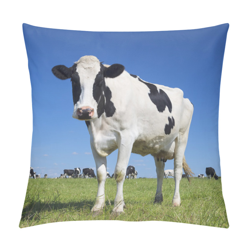 Personality  black and white cow with blue sky pillow covers