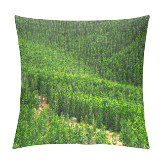 Personality  Can't See The Forest For The Trees Pillow Covers