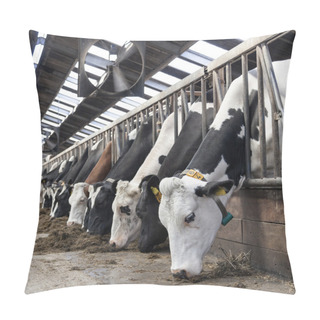 Personality  Long Row Of Cows Sticking Their Heads Out Bars To Feed Pillow Covers