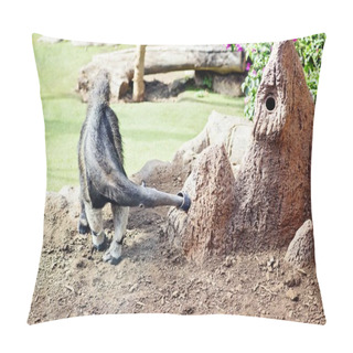 Personality  Grey Ant-eater Looking For Ants Pillow Covers