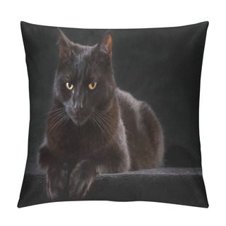 Personality  Black Cat Pillow Covers