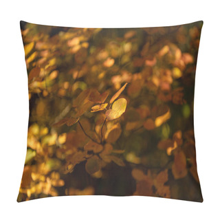 Personality  Close Up View Of Autumnal Golden Foliage Pillow Covers