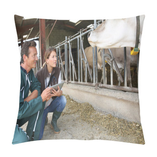 Personality  Veterinarian With Breeder Pillow Covers